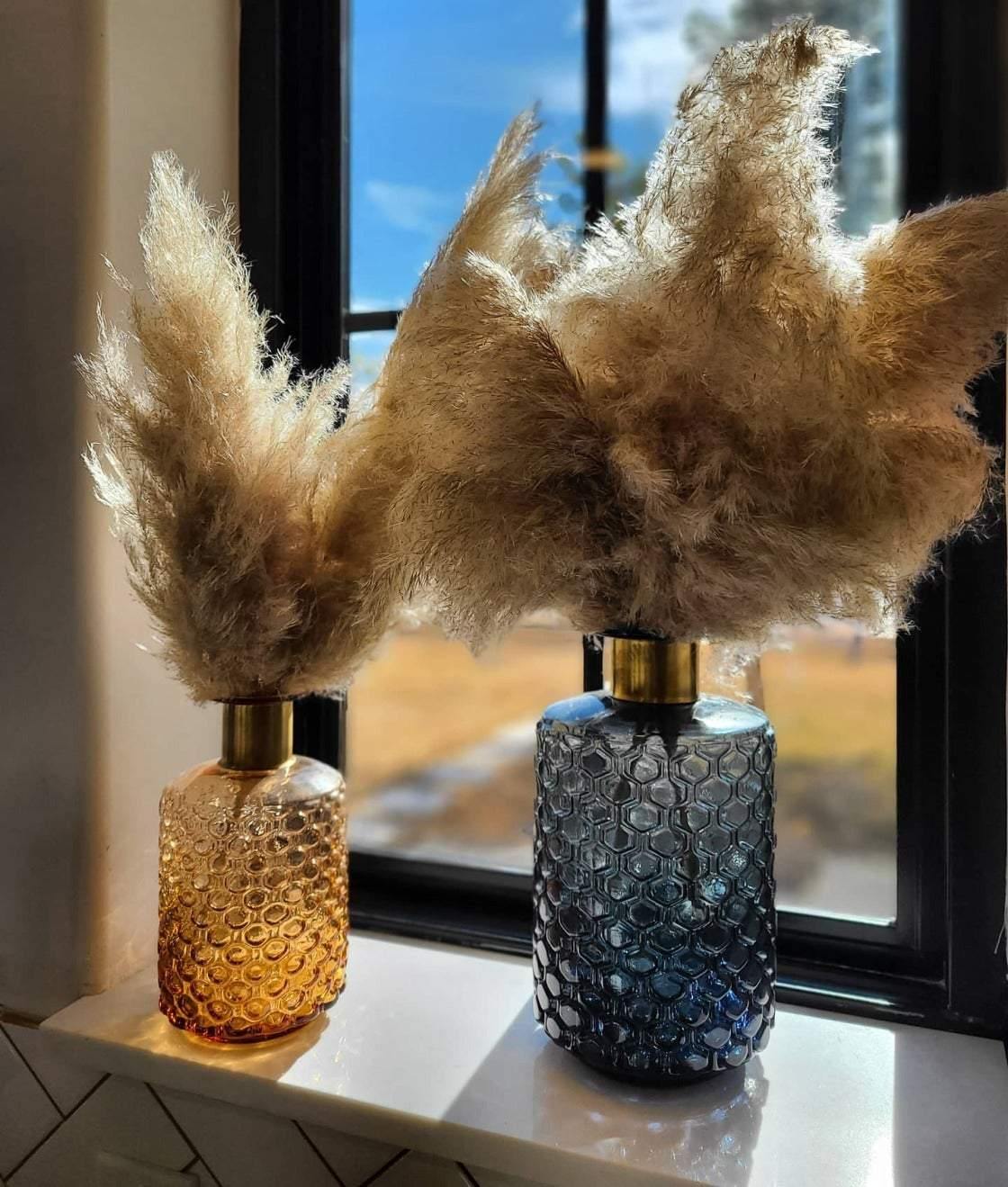 How it all started - Pampas B