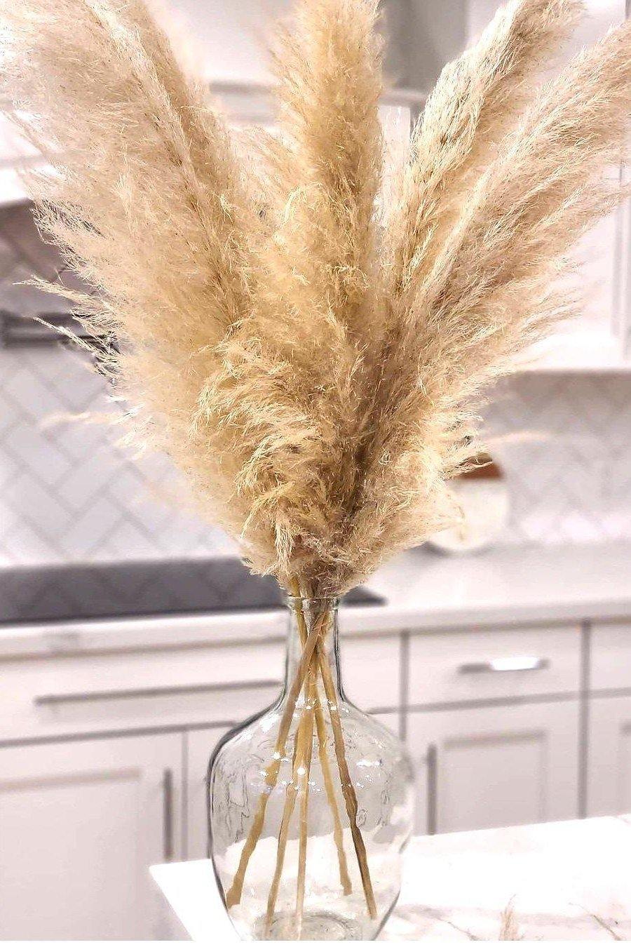 Arrangements - Pampas B