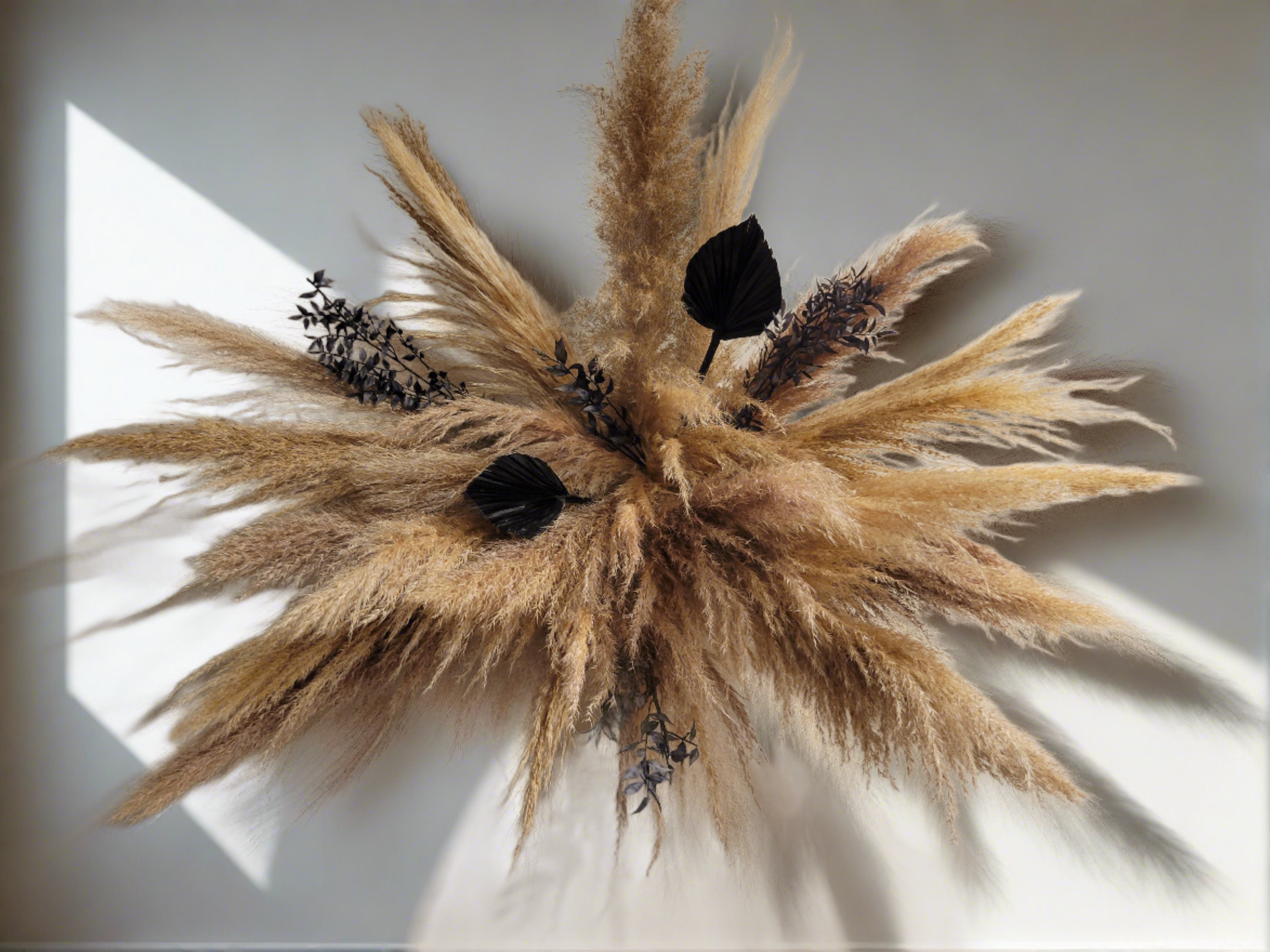 Black Betty Wall Arrangement-Wall Arrangement-Pampas B