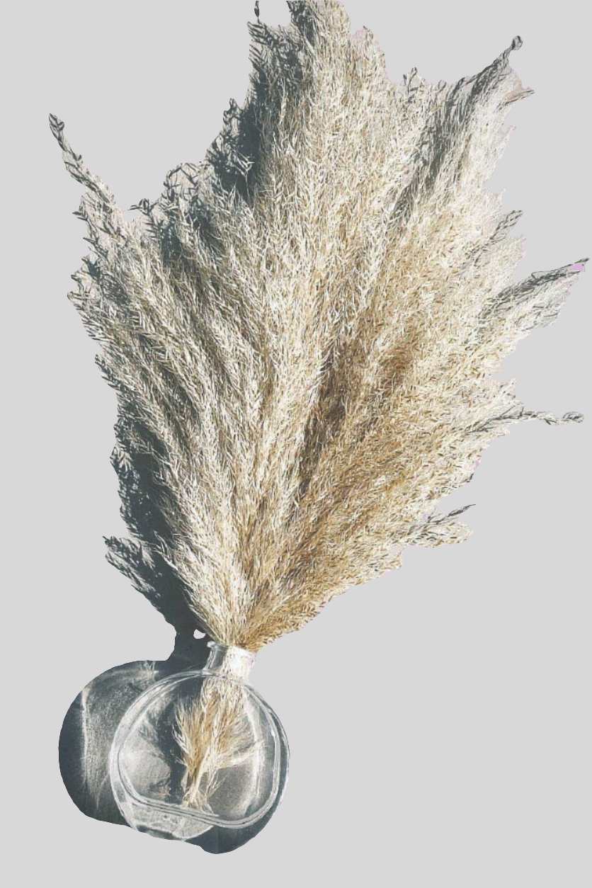 Classic centerpieces (12)-centerpiece-Pampas B