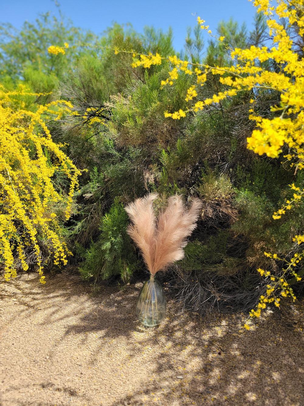 XL carmel Pampas Stem-Pampas B