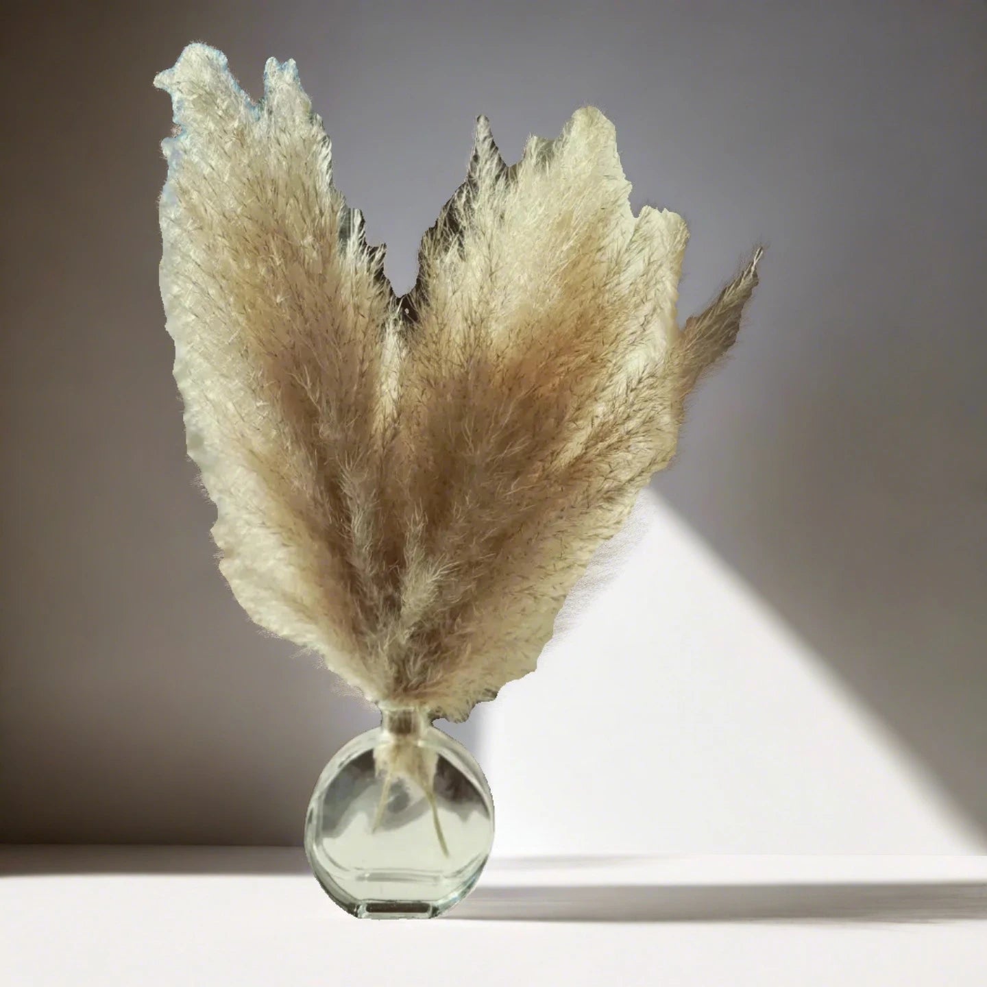 Fluffy Circle Tan Small-Pampas B