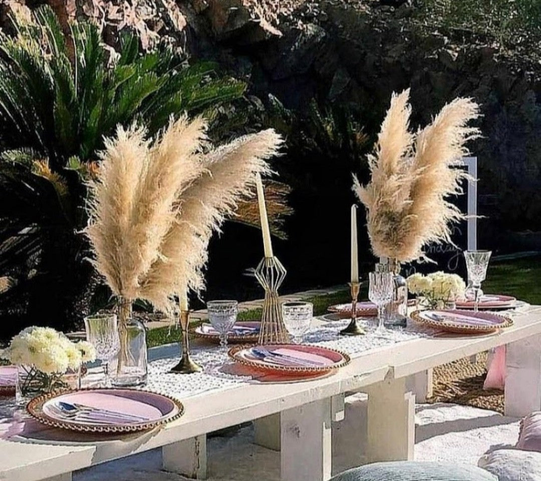 Fluffy Neutral Stem 3 feet-Pampas B