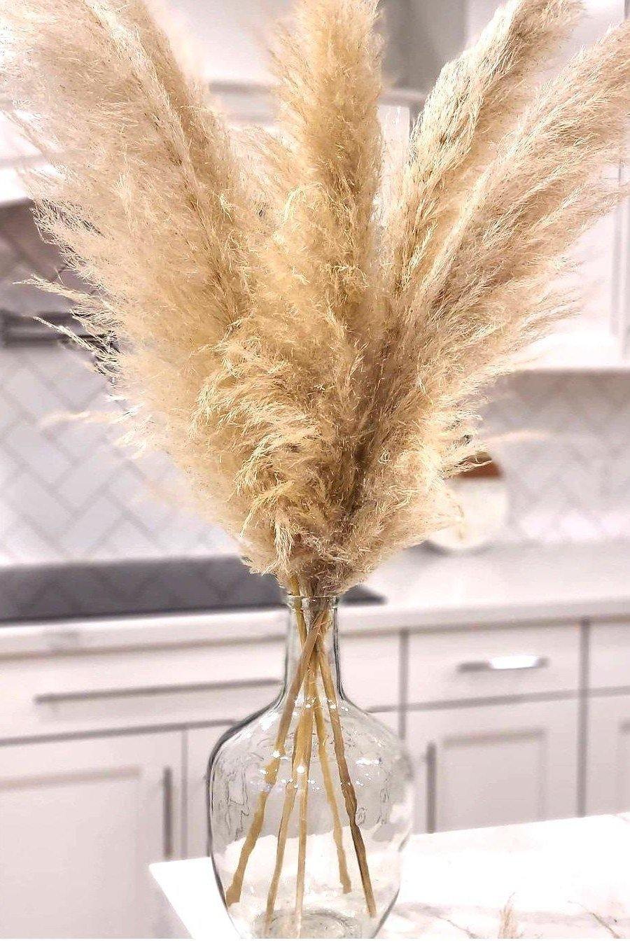 Gold Grass, Decorative Plumes, Natural Dried Plumes, Pampas Grass, Pampas  Grass Decor, Fall Decorations Indoor, Gold Grass Decor -  Norway
