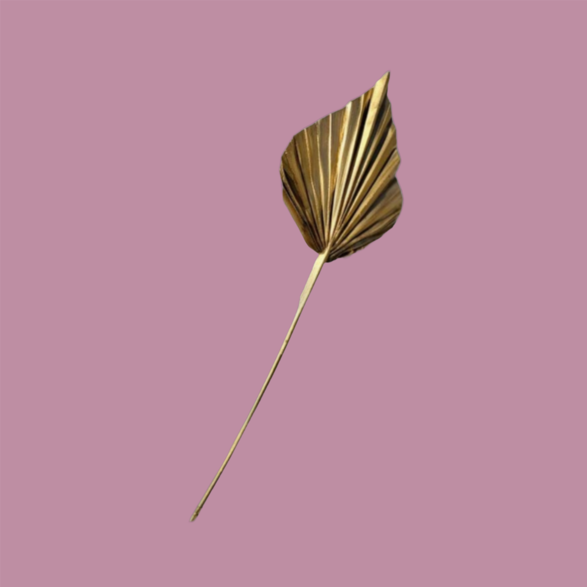 Gold mini palm-Dried Flowers-Pampas B