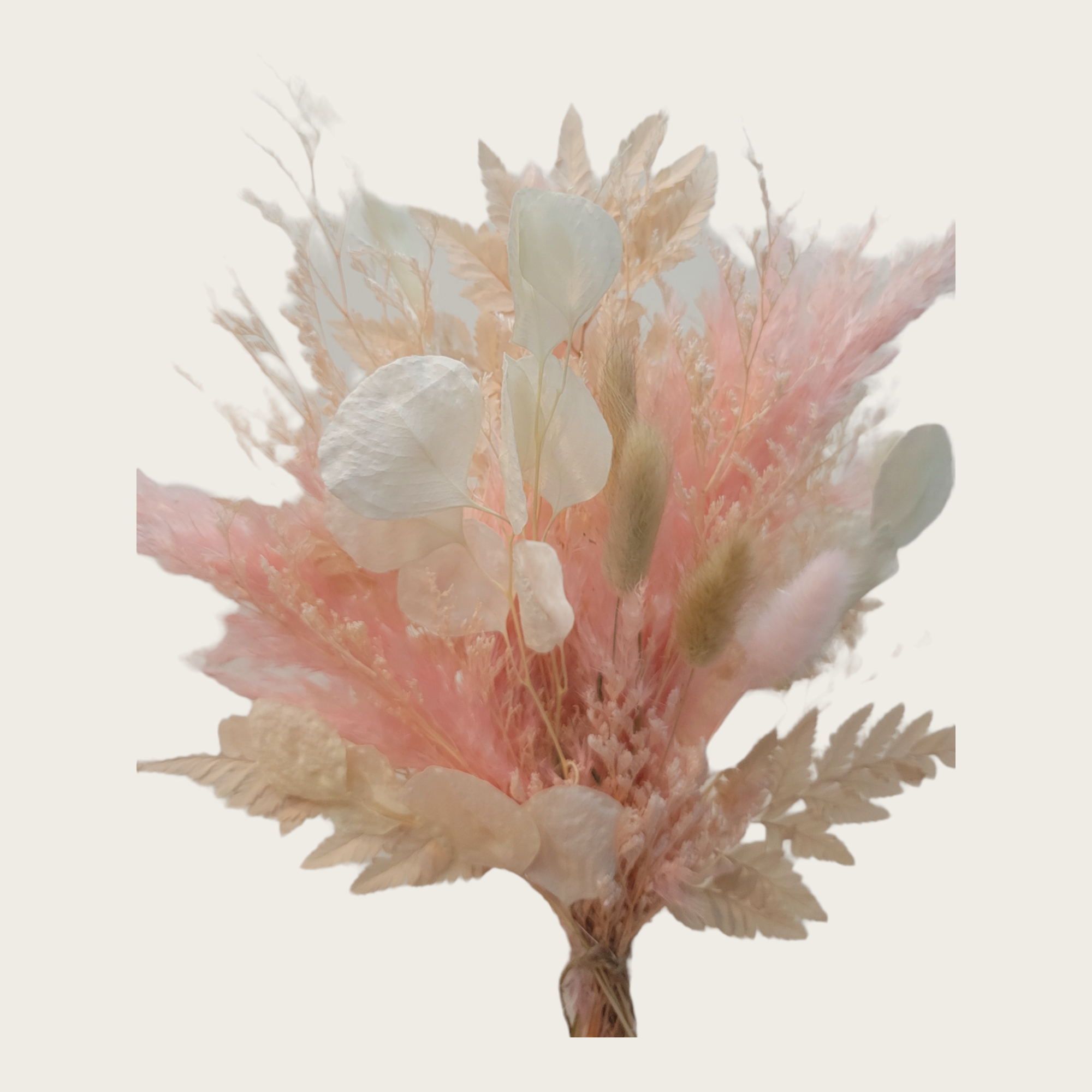 Blushing Bouquet-dried floral-Pampas B