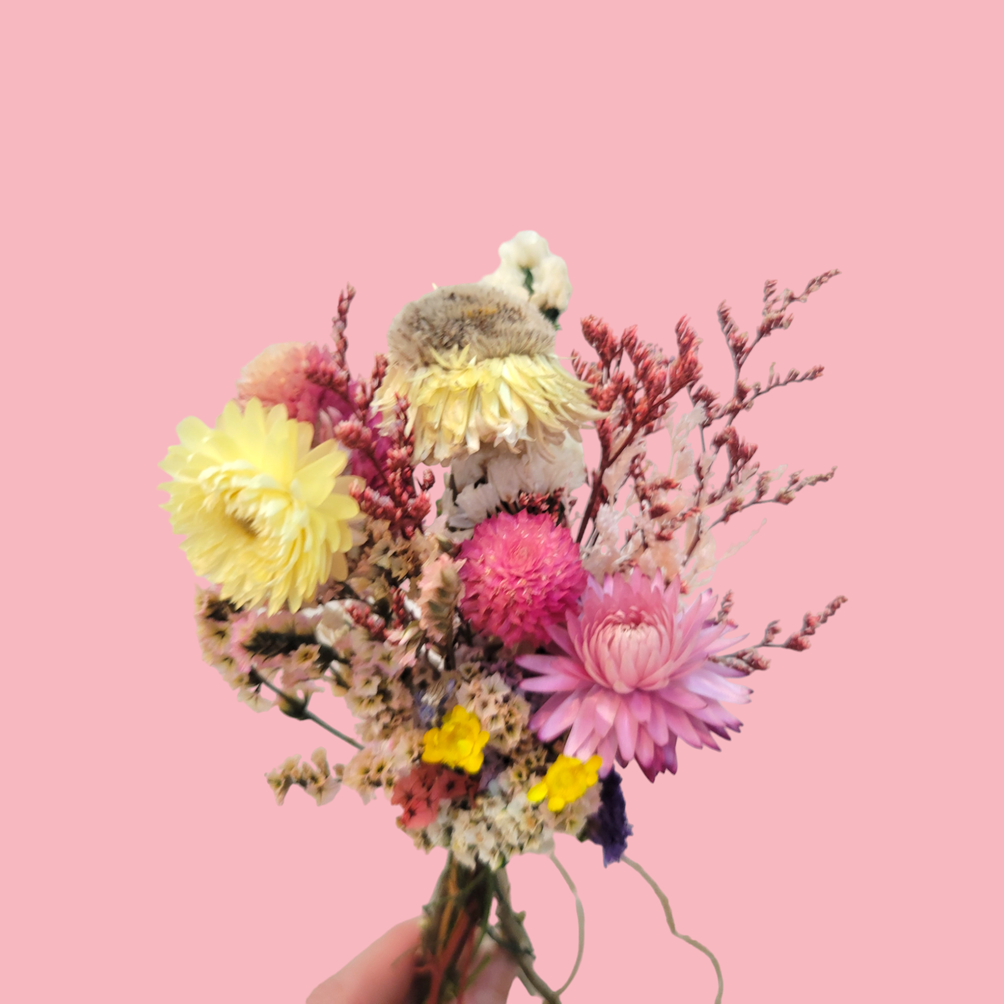 Mini spring bouquet-Pampas B