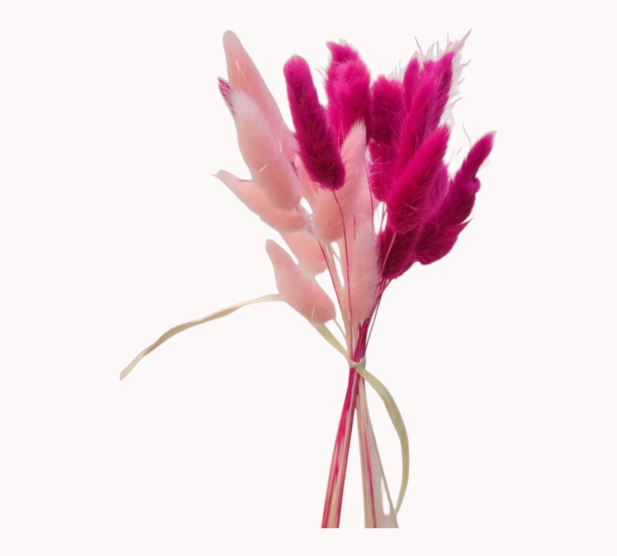 Pink Bunny Mix-Dried Flowers-Pampas B