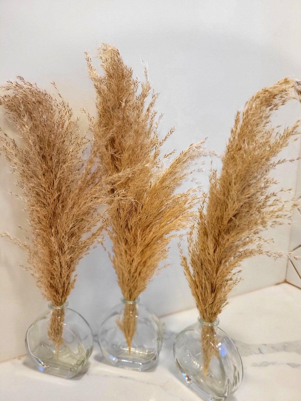 Affordable Mini trio(3) perfect for centerpieces-wedding-Pampas B