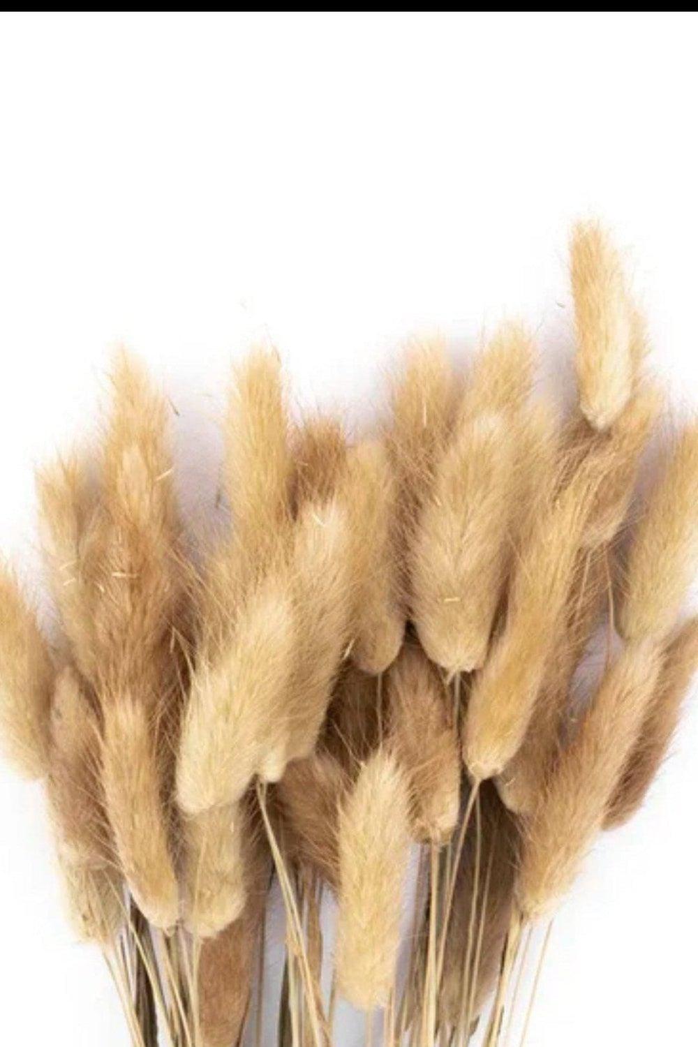 DIY Wheat Pampas Natural Bunny Kit-centerpiece-Pampas B