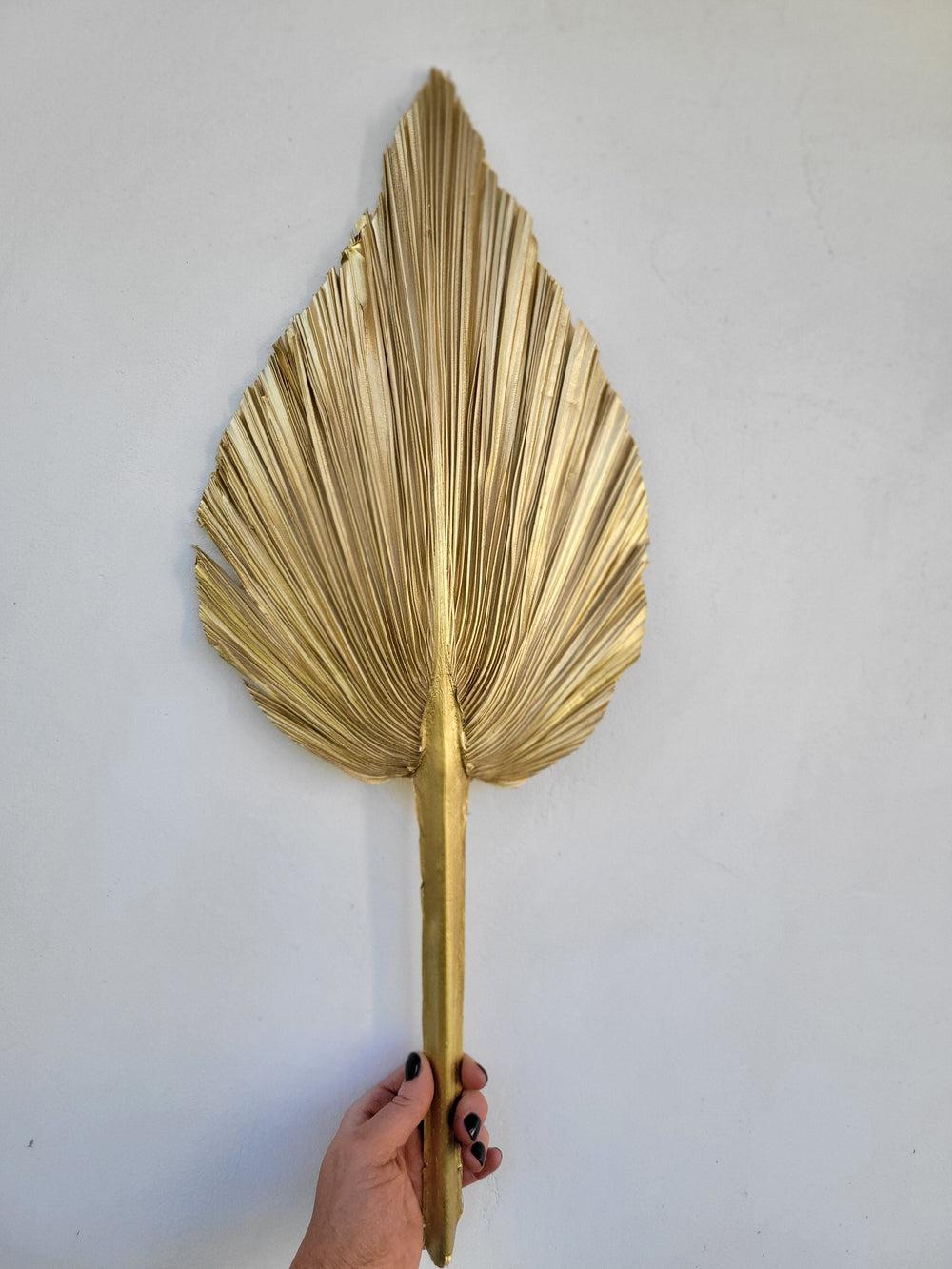 Gold Spear Palm Leaf-Dried Flowers-Pampas B