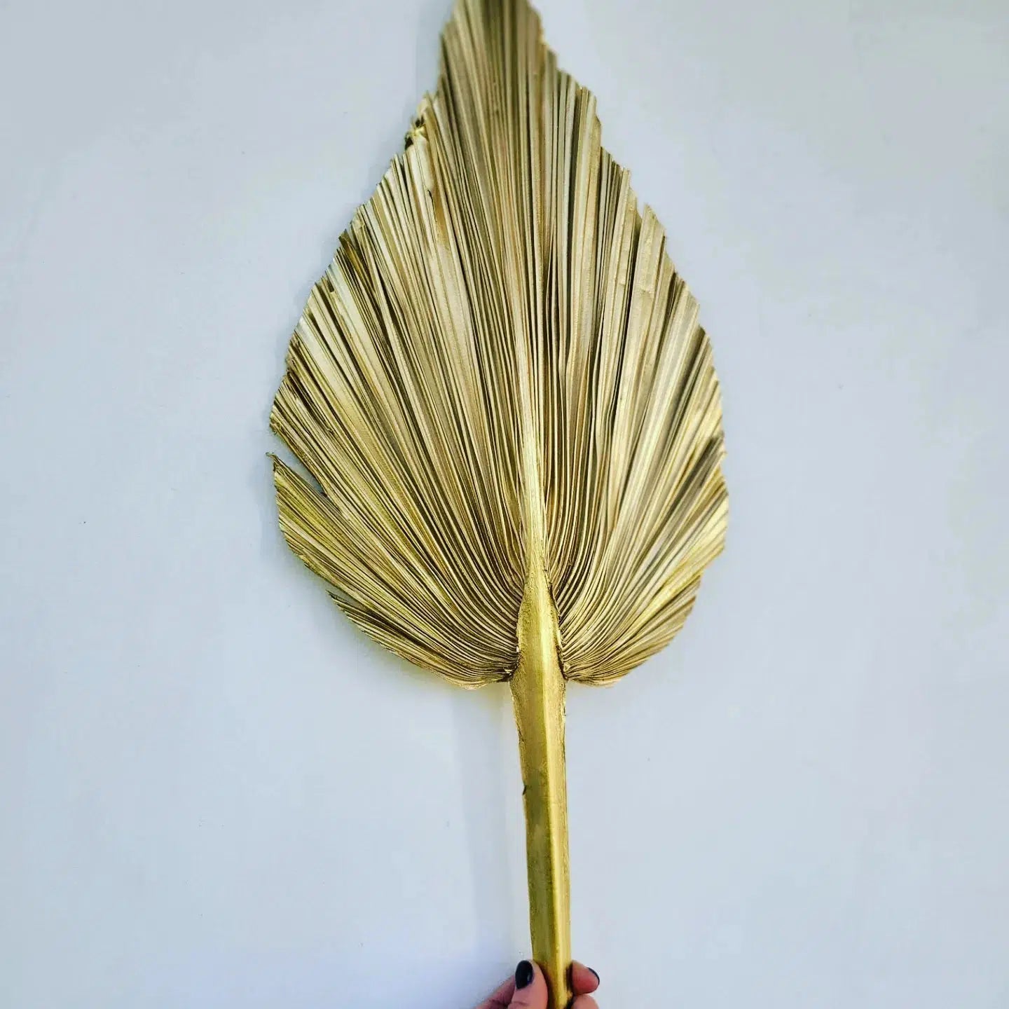 Gold Spear Palm Leaf-Dried Flowers-Pampas B