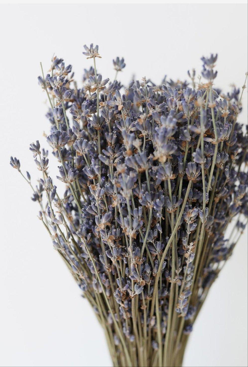 Lavender bunch-Dried Flowers-Pampas B