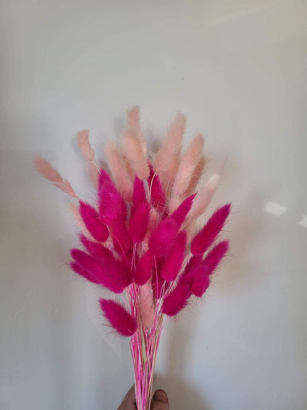 Pink Bunny Mix-Dried Flowers-Pampas B