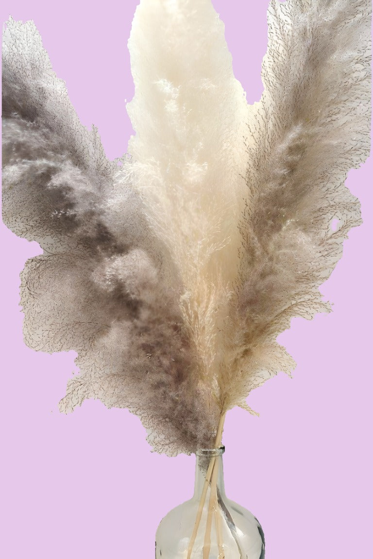 Smokey Bundle (4)-Pampas B