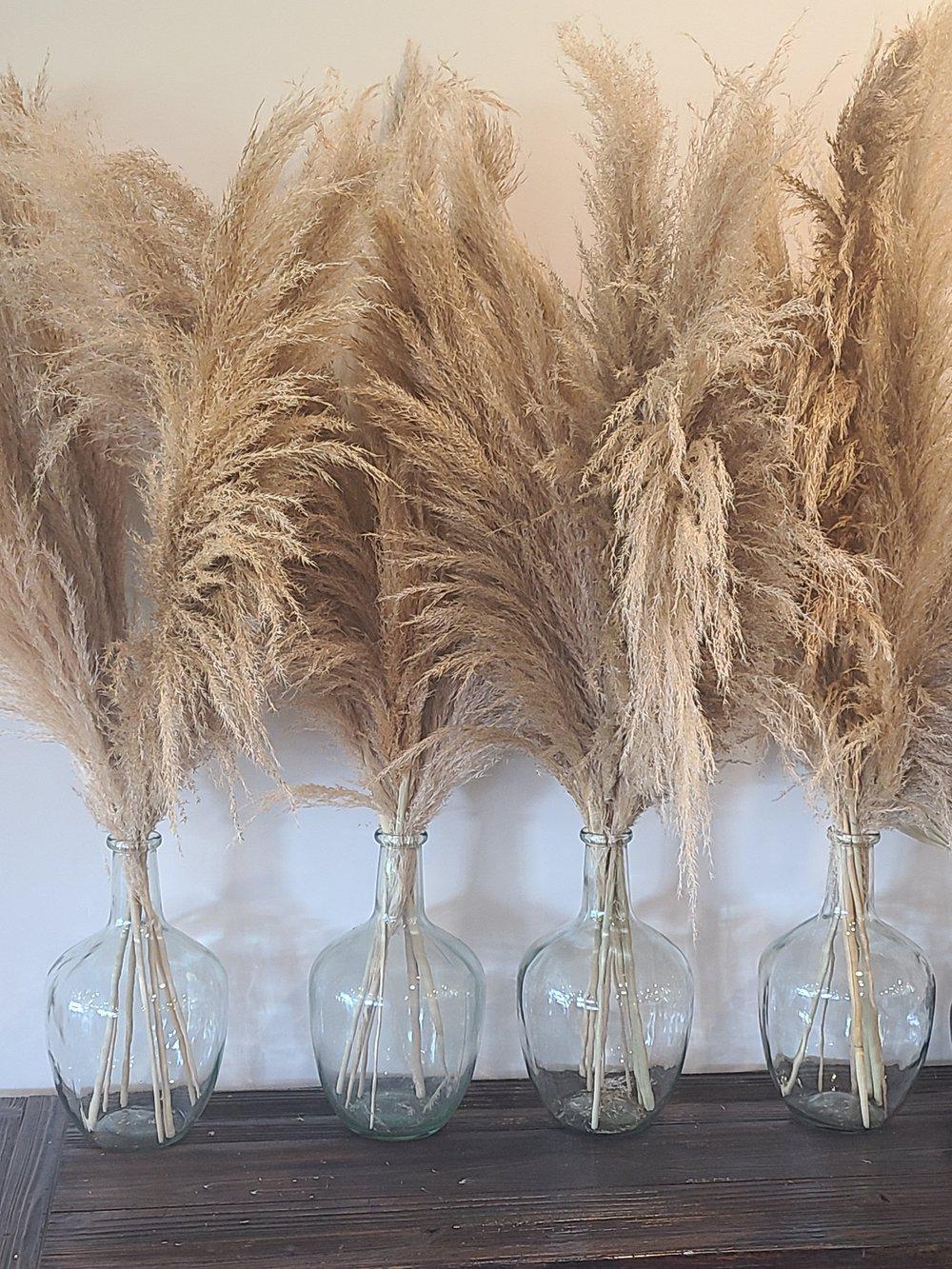 Wheat Stem bundle (6)-Pampas B